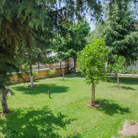 Апартаменты Paressa'S House Никити Экстерьер фото